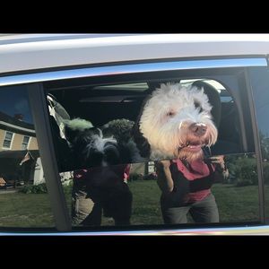 Meet your Posher, Scott